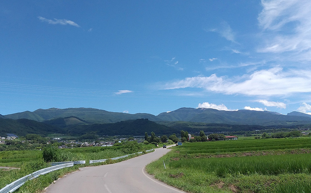 採蜜が行われている東御市の緑豊かな山間の地区