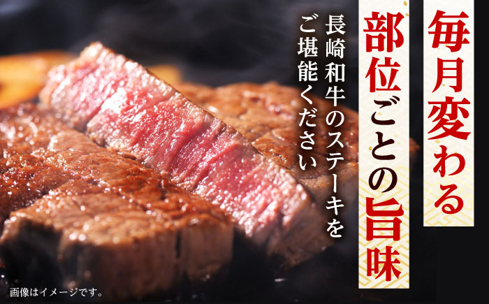 長崎和牛 ステーキ堪能コース 総計11.7kg