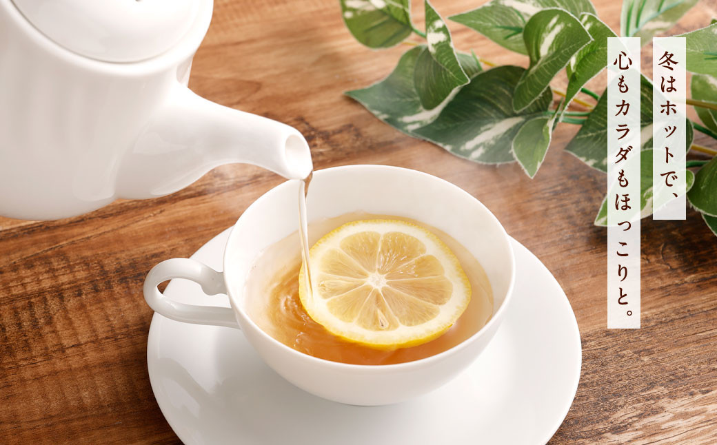 北九州 ハニーレモンシロップ 1本 (箱入り)