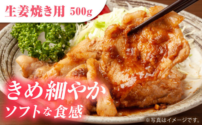 肥前さくらポーク  とんかつ 生姜焼き  豚肉 豚 ロース ブランド豚 スライス 豚ロース しょうが焼き 豚カツ セット 佐賀