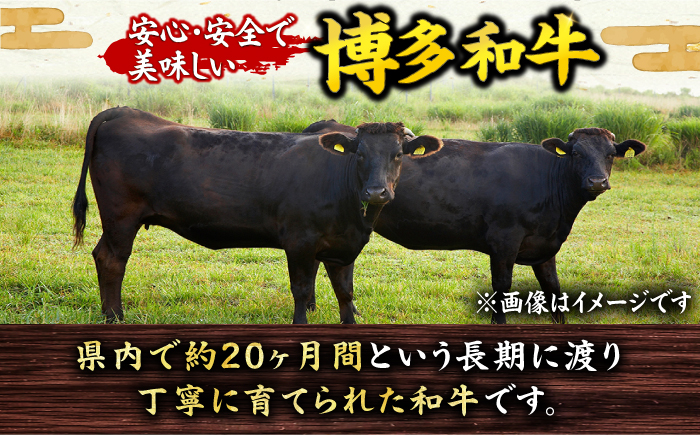 肉 にく ニク 博多和牛 国産和牛 黒毛和牛