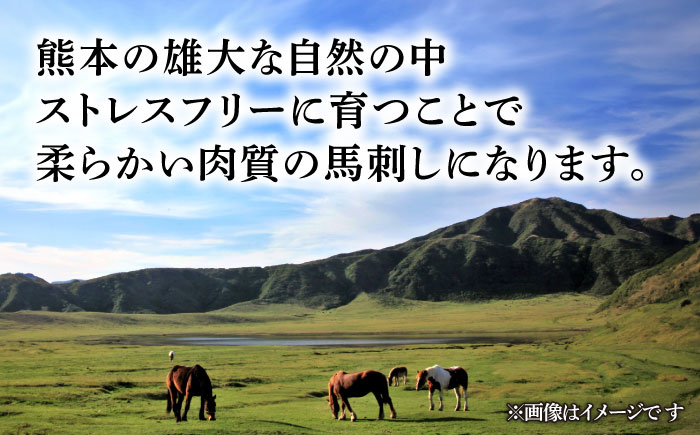 国産 馬刺し 赤身 熊本 ばさし バサシ 馬刺 冷凍 パック 小分け おつまみ 日本酒 や ワイン に合う 晩酌 ヘルシー