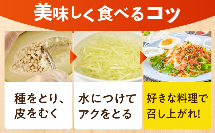 青パパイヤ。約1kg 栄養満点 スーパーフード