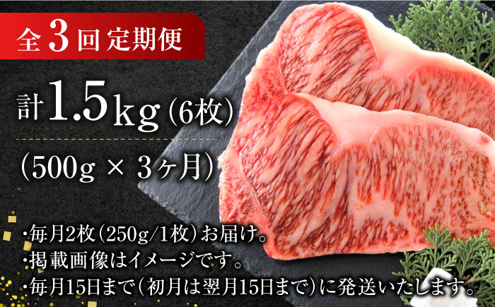 牛肉 肉 にく ニク 博多和牛 サーロイン ステーキ