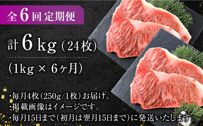 肉 にく ニク サーロインステーキ 博多和牛