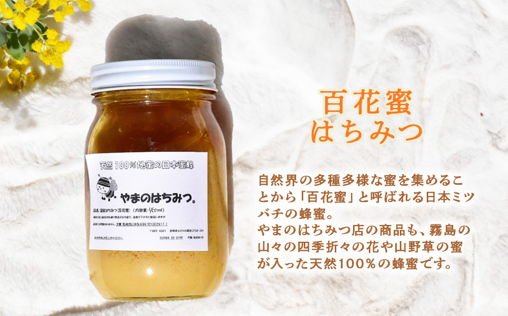 日本蜜蜂の蜂蜜 450ml ハチミツ 日本ミツバチ 百花蜜 天然100％