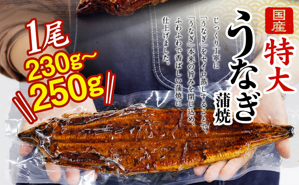 国産うなぎ蒲焼 3尾（690〜750g）と 特製タレ 3個 セット