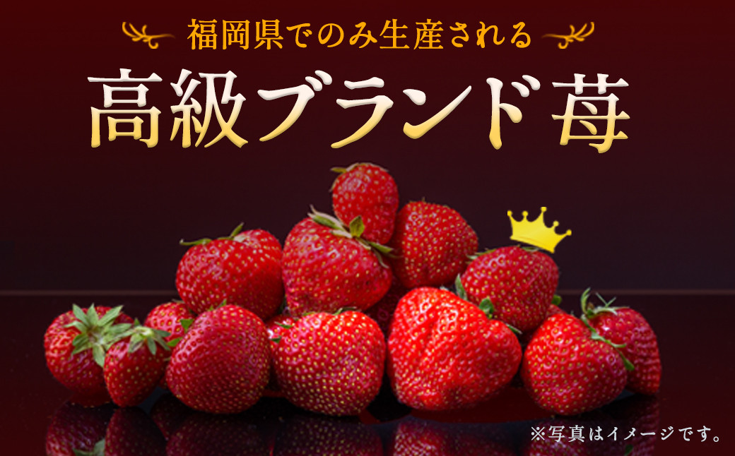 いちご「あまおう」<約270g×4パック>