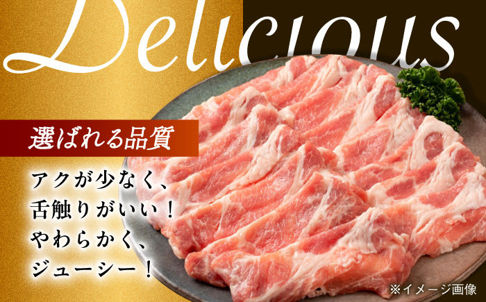 肉 豚 ぶた ブタ ロース 焼肉 焼き肉 しゃぶしゃぶ 小分け 西海市 長崎 九州 定期便