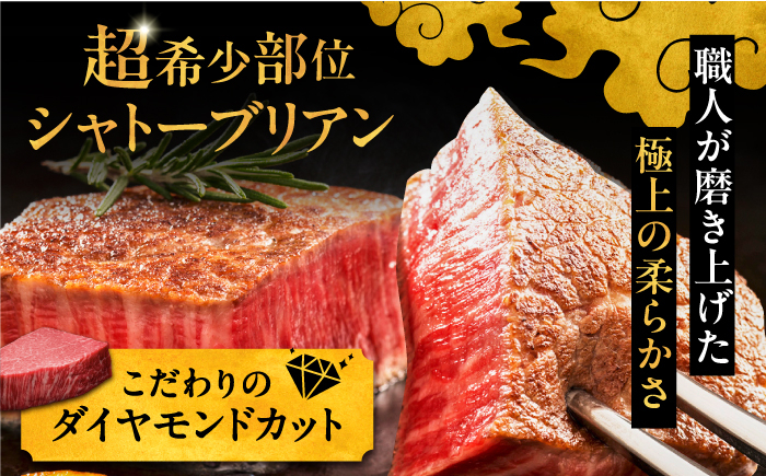 博多和牛 食べ比べ 2人前 ( サーロイン ステーキ / ロース スライス / シャトーブリアン ) 定期便 ステーキ すき焼き