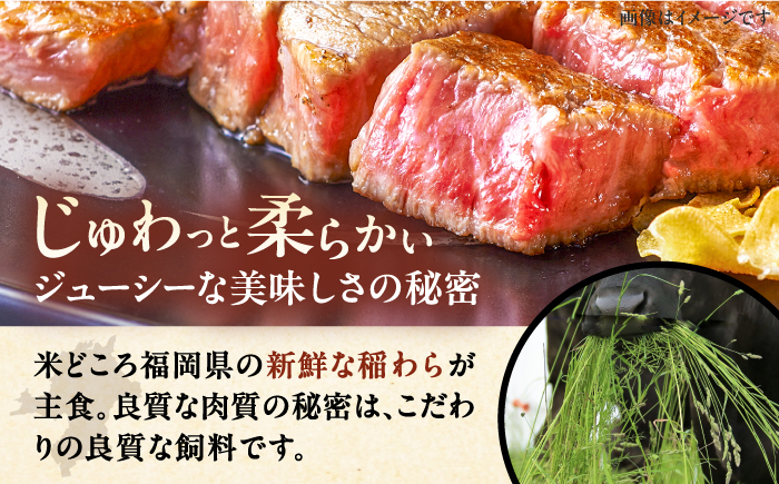 博多和牛 贅沢 食べ比べ 2人前( ステーキ すき焼き しゃぶしゃぶ ハンバーグ ) 