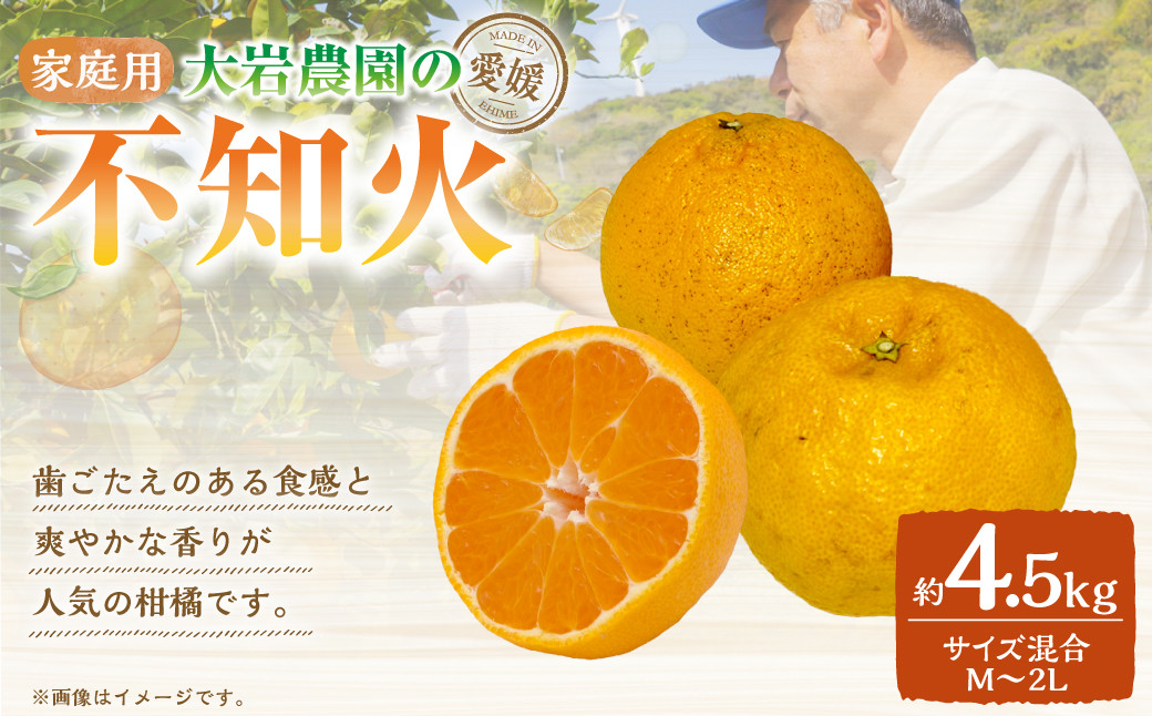 大岩農園の不知火 家庭用 約4.5kg