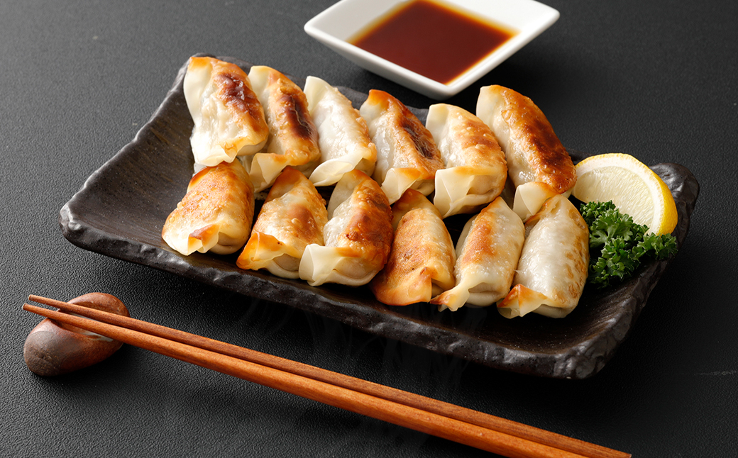 【1ヶ月毎10回定期便】 梅肉ポーク使用 熊本ギョーザ 計500個(50個✕10回) 餃子 ぎょうざ 豚肉