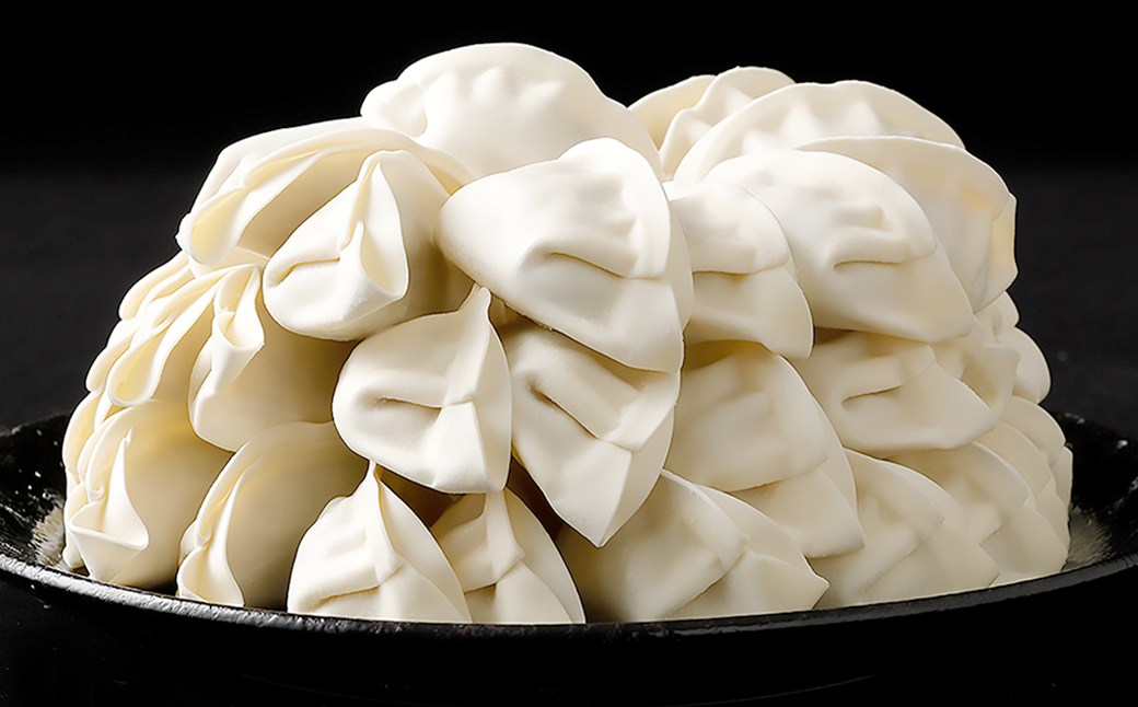 【4ヶ月毎2回定期便】 梅肉ポーク使用 熊本ギョーザ 計100個(50個✕2回) 餃子 ぎょうざ 豚肉