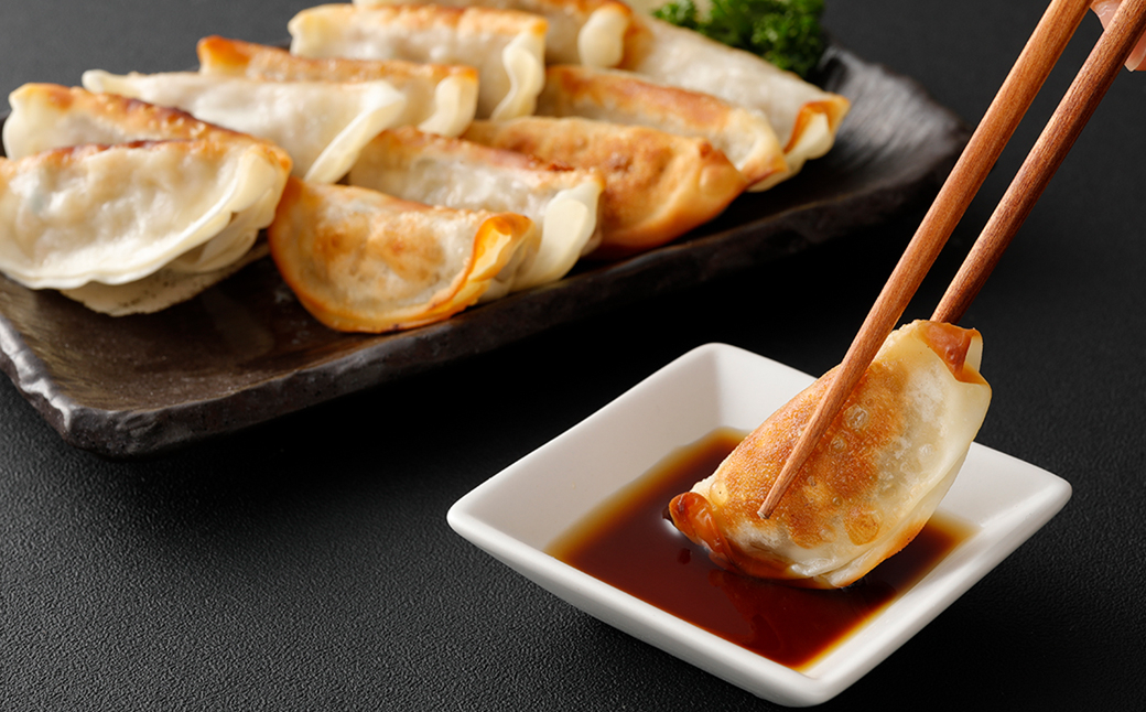 【3ヶ月毎2回定期便】 梅肉ポーク使用 熊本ギョーザ 計100個(50個✕2回) 餃子 ぎょうざ 豚肉