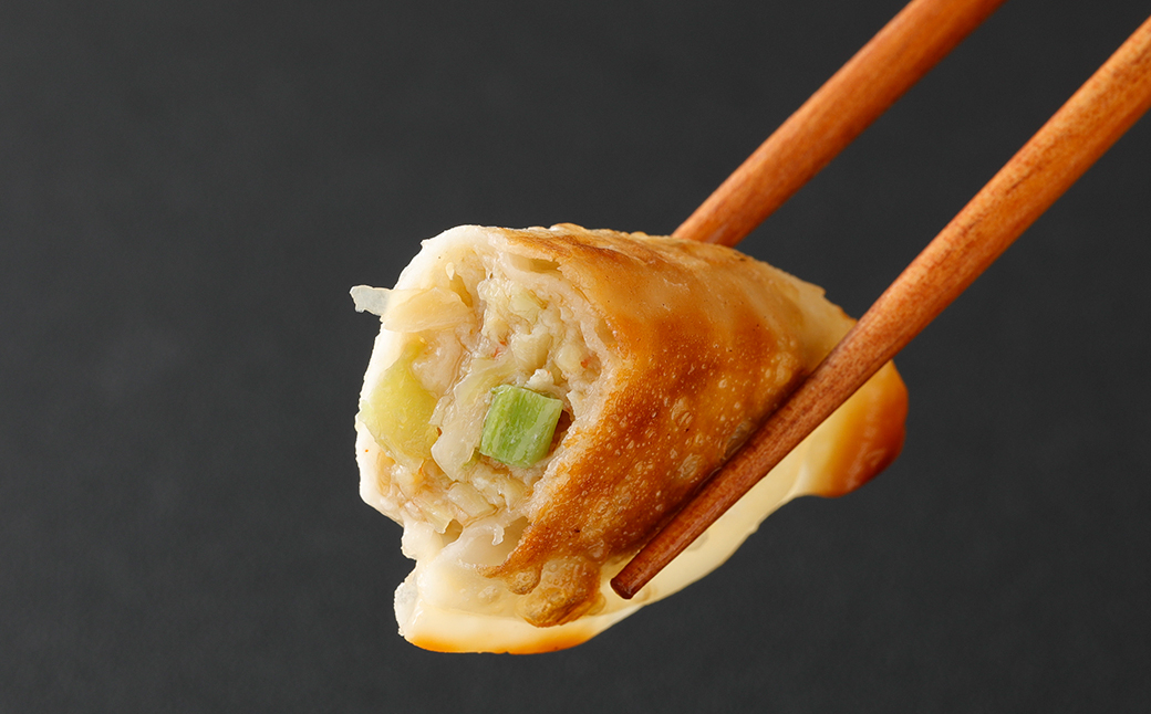 【3ヶ月毎2回定期便】 梅肉ポーク使用 熊本ギョーザ 計100個(50個✕2回) 餃子 ぎょうざ 豚肉