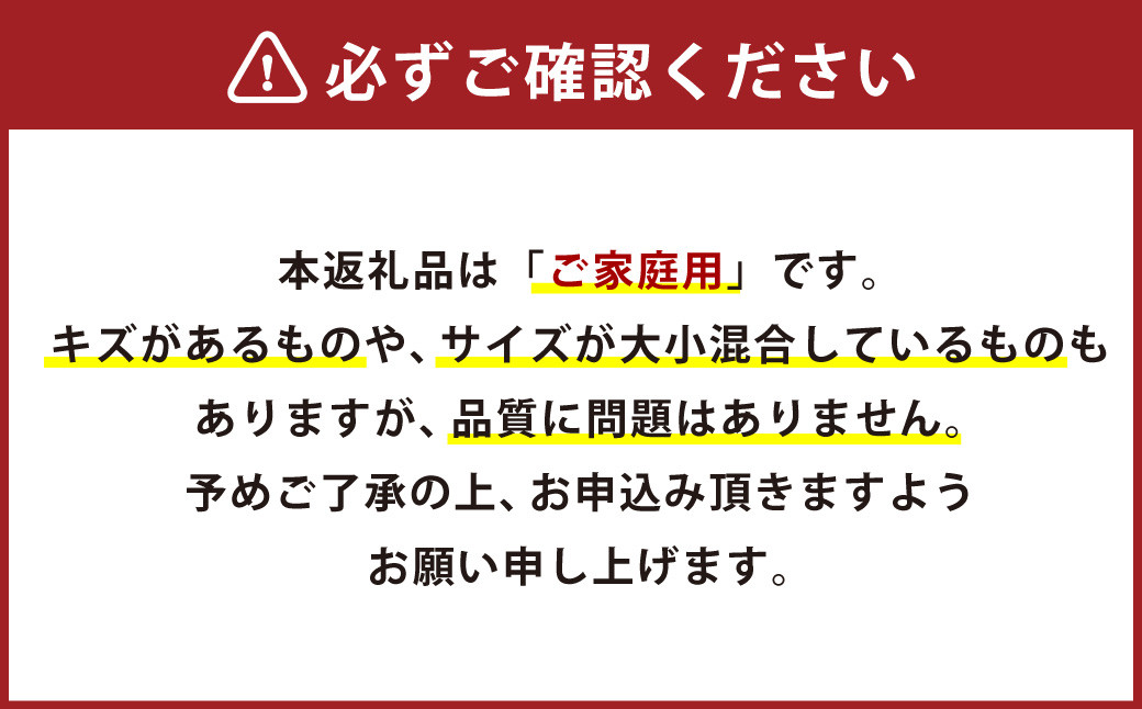 大岩農園のナダオレンジ（ 河内晩柑 ） 家庭用 約4.5kg