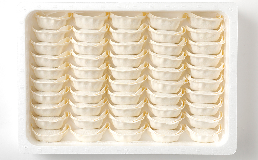 梅肉ポーク使用 熊本ギョーザ 計300個 餃子 ぎょうざ 豚肉