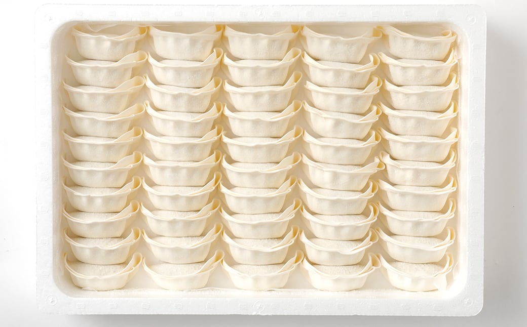 【5ヶ月毎3回定期便】 梅肉ポーク使用 熊本ギョーザ 計150個(50個✕3回) 餃子 ぎょうざ 豚肉