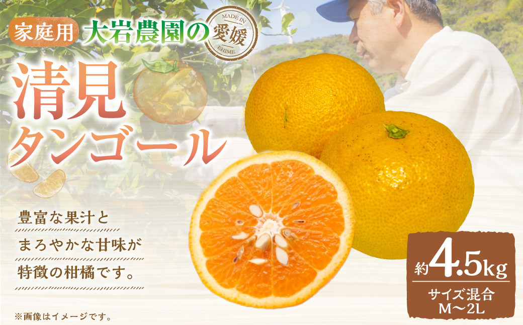 大岩農園の清見タンゴール 家庭用 約4.5kg