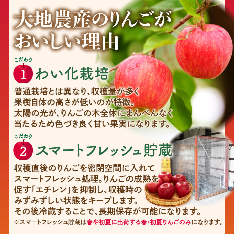 《先行受付》特選こうとくりんご約2.5kg 【2026年11月中旬頃～発送予定】【山形りんご・大地農産・11月・12月】