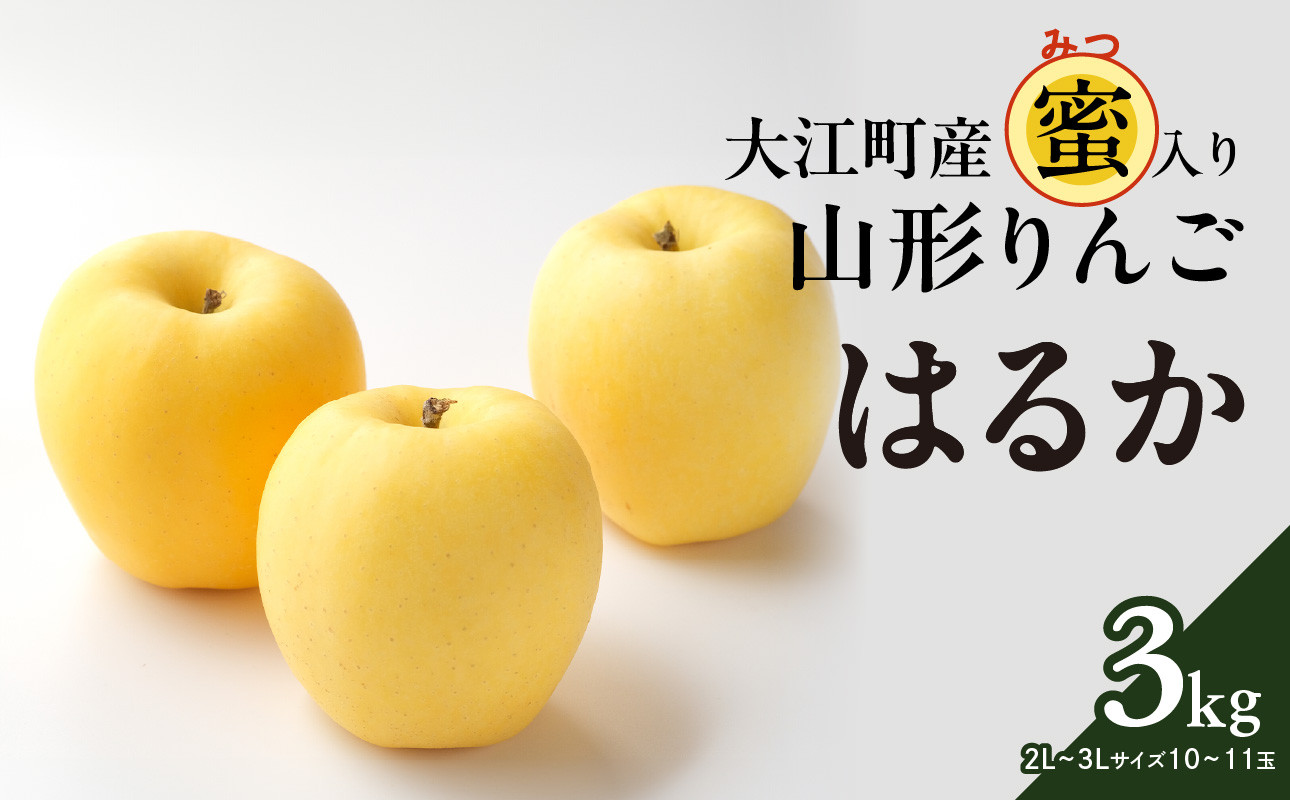 《先行予約》大江町産 山形りんご 「はるか」 3kg 2L～3L 10～11玉【2024年12月上旬頃～発送予定】