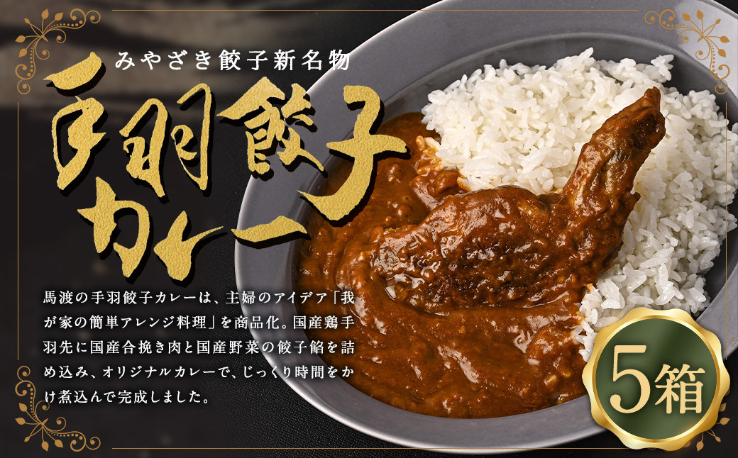 〈みやざき餃子新名物 手羽餃子カレー 5箱〉