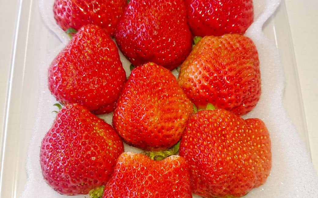 あまおう ボリュームセット 6パック