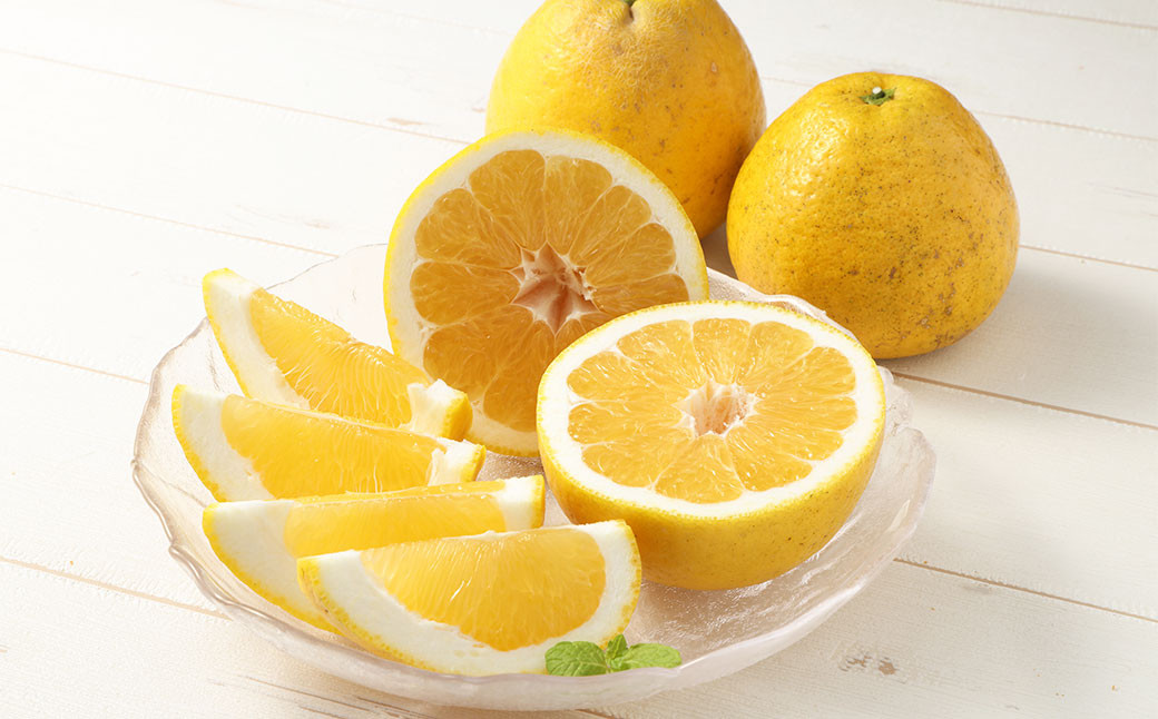 【2024年8月上旬までに発送予定】河内晩柑 ちょっとだけキレイな 大小ミックス【えひめの町（超）推し！（愛南町）】