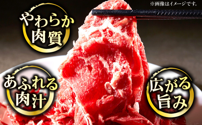 博多和牛 計1kg 500g×2パック 切り落とし 牛肉