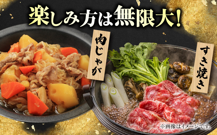博多和牛 計1kg 500g×2パック 切り落とし 牛肉