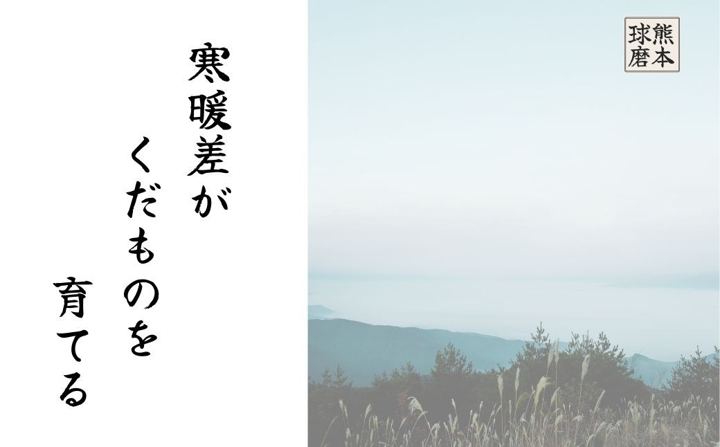 熊本県ＪＡくま産　球磨の梨　豊水 5kg（12玉～16玉）