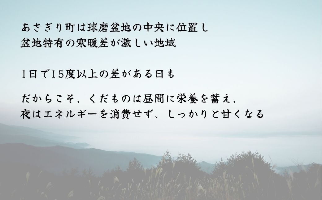 熊本県ＪＡくま産　球磨の梨　豊水 5kg（12玉～16玉）
