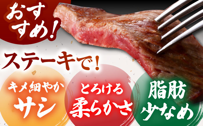 【肉の旨味を凝縮！】佐賀牛 赤身ステーキ 600g 【がばいフーズ】A5ランク 佐賀牛 [HCS088]