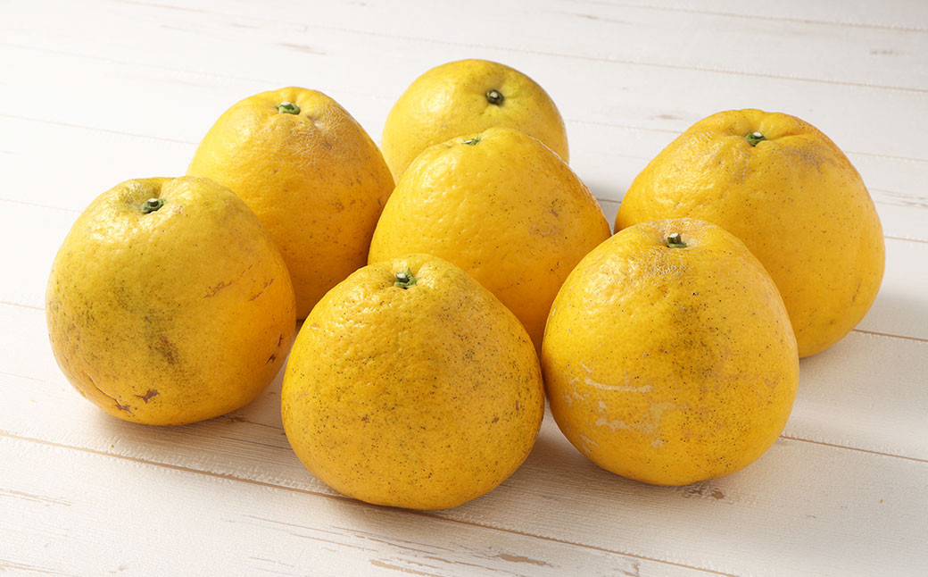 【2024年8月上旬までに発送予定】河内晩柑 ちょっとだけキレイな 大小ミックス【えひめの町（超）推し！（愛南町）】