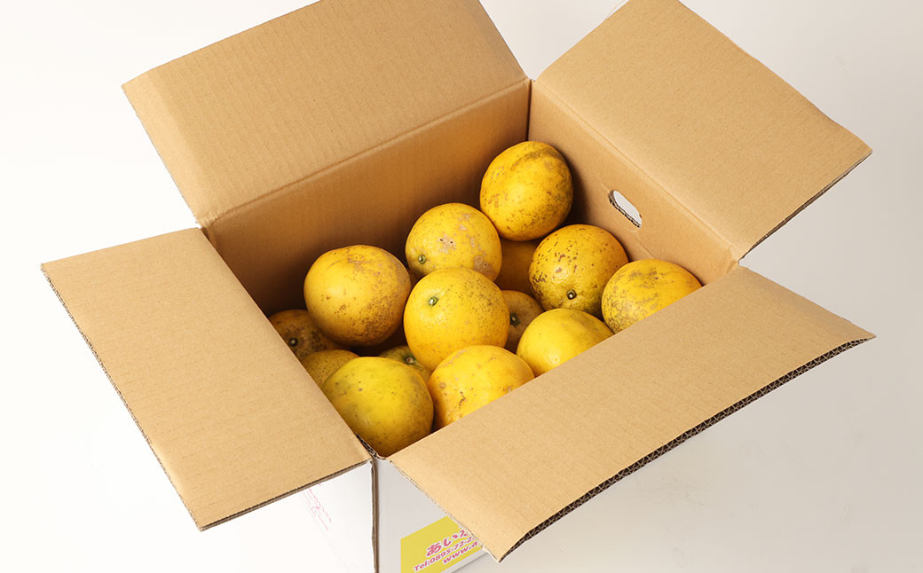 【2024年8月上旬までに発送予定】河内晩柑 訳あり 大小ミックス(10kg)(513) 【えひめの町（超）推し！（愛南町）】