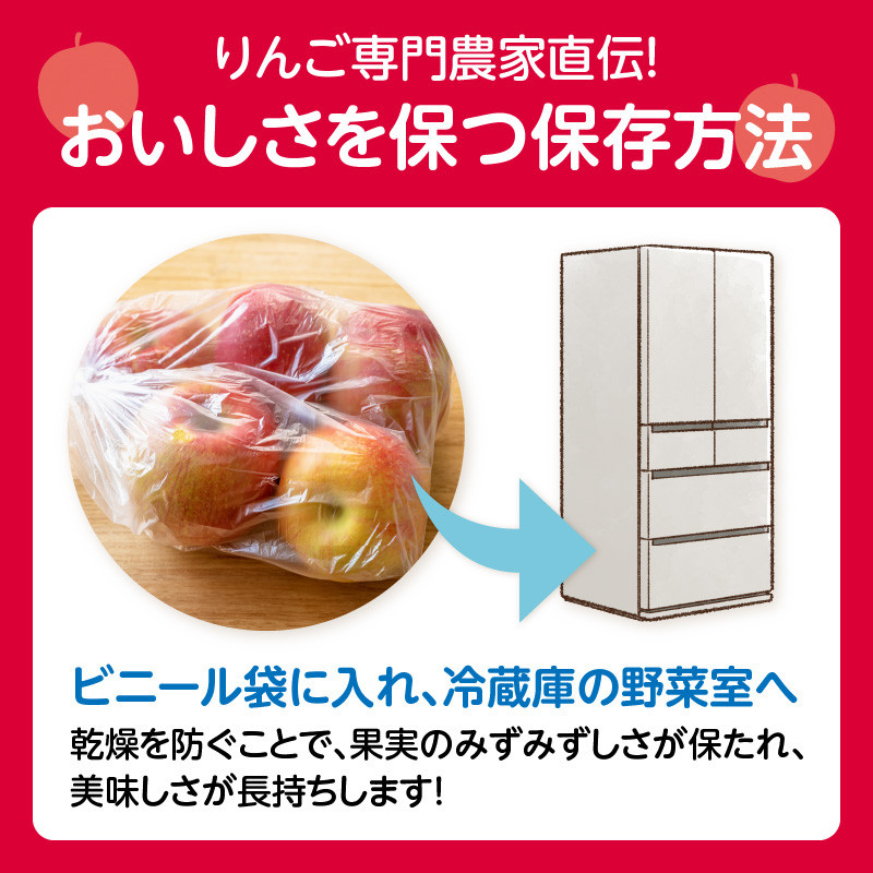 《先行予約》大江町産 山形りんご 「高徳りんご」 2.5kg （M～3S 12～16玉）【2024年10月下旬頃～発送予定】
