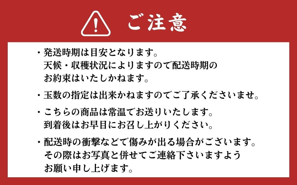 熊本県ＪＡくま産　球磨の梨　あきづき 5kg（12玉～16玉）