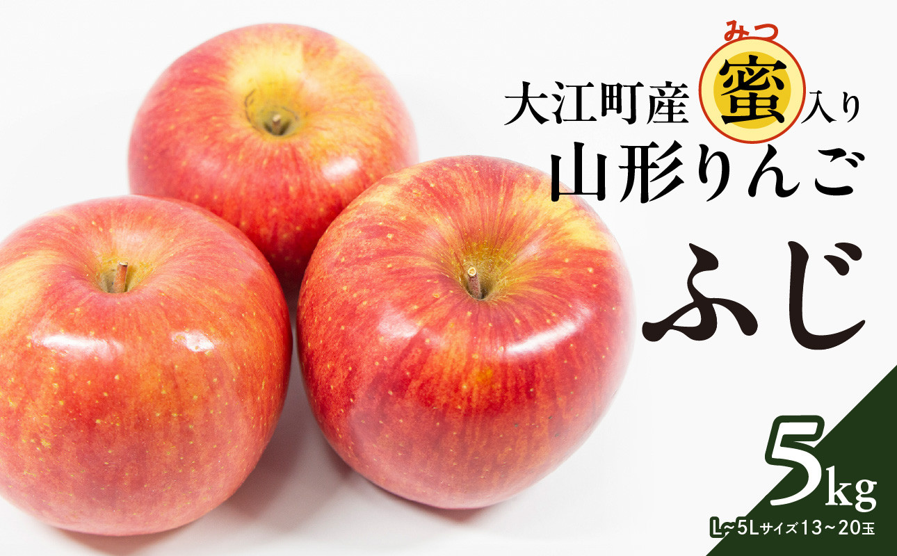 《先行予約》大江町産 山形りんご 「ふじりんご」 5kg L～5L 13～20玉【2024年11月下旬頃～発送予定】