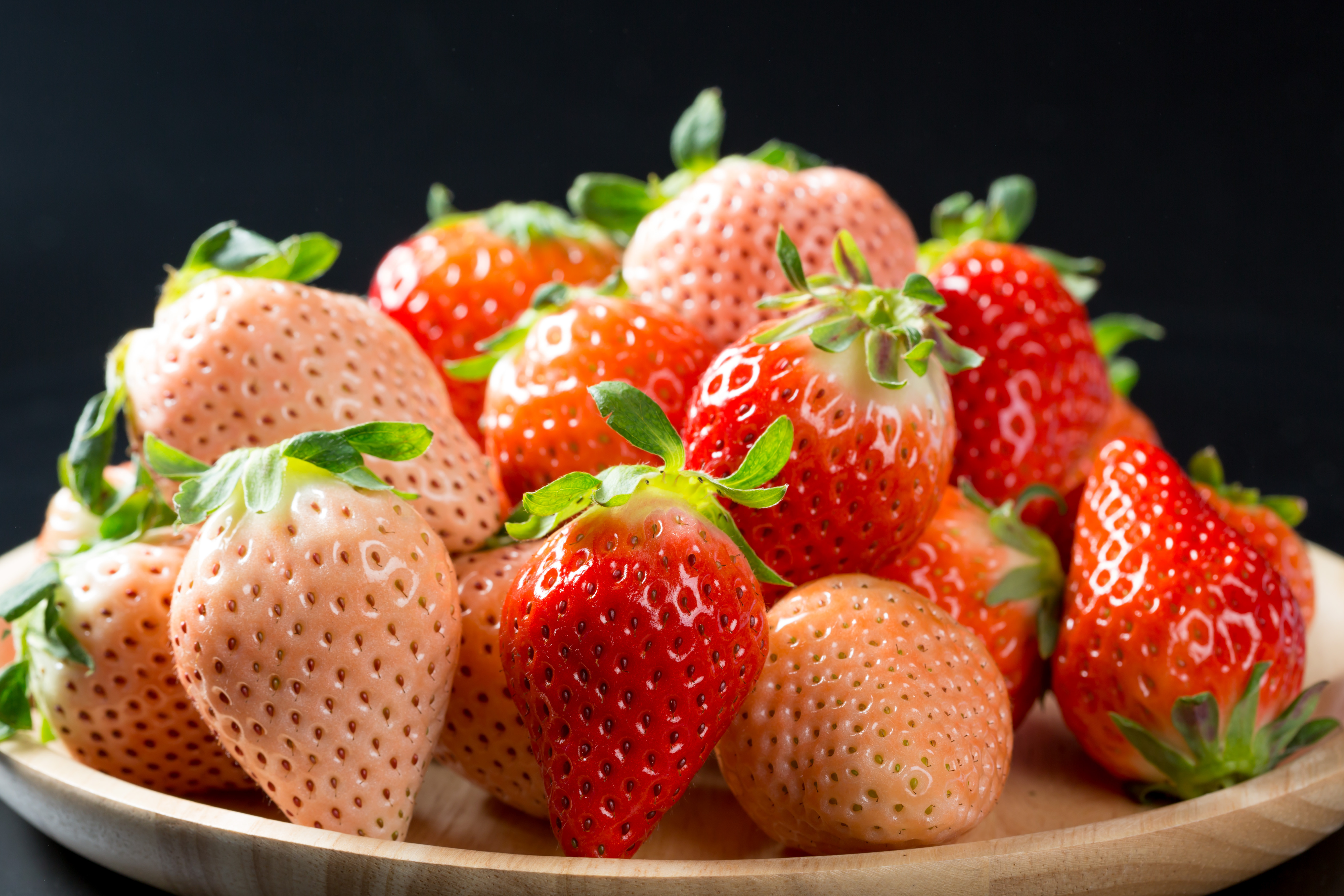 ※画像はイメージです。