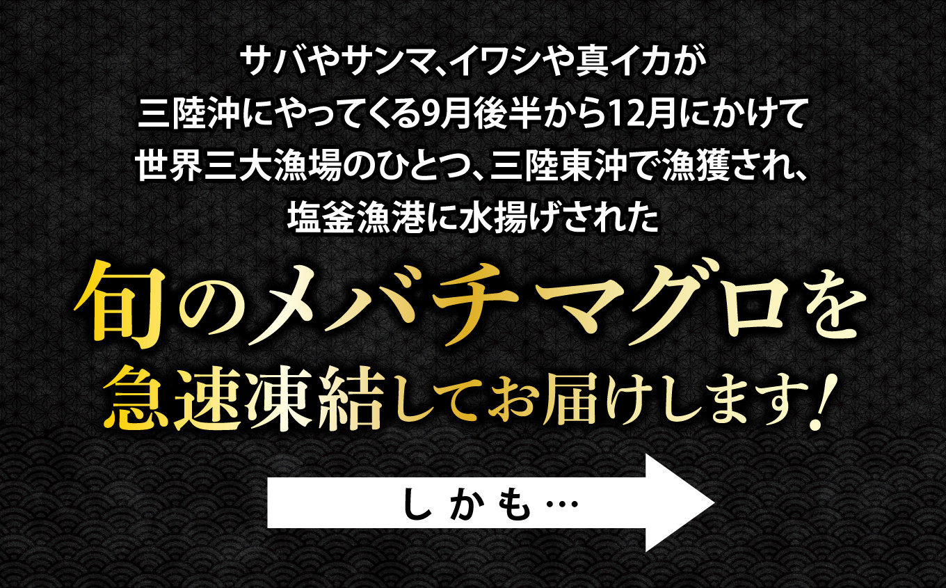 旬のメバチマグロを急速凍結してお届けします！