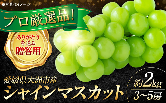 果物 フルーツ ブドウ ぶどう シャインマスカット しゃいんますかっと くだもの 葡萄 夏果物 マスカット 2kg 高級