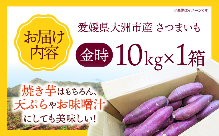 愛媛県大洲市産さつまいも（金時） 10kg