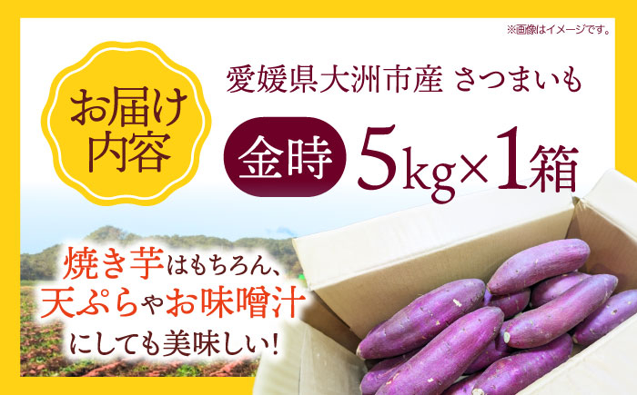 愛媛県大洲市産さつまいも（金時）5kg