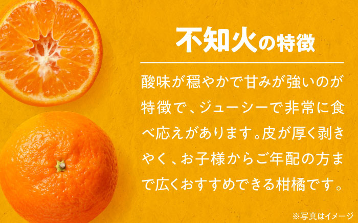 くだもの 果物 フルーツ 柑橘 不知火 しらぬい デコポン でこぽん みかん 愛媛県産 大洲市産 産地直送 おすすめ 人気