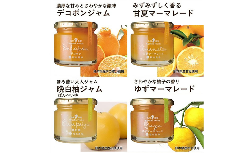 九州果実ジャム詰め合わせ 6種類 120g×18個(各3個) ジャム 甘夏 ブルーベリー イチゴ デコポン 晩白柚 ゆず