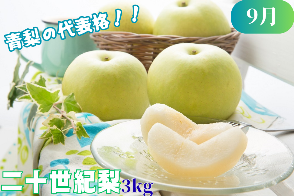 青梨の代表格“二十世紀梨”