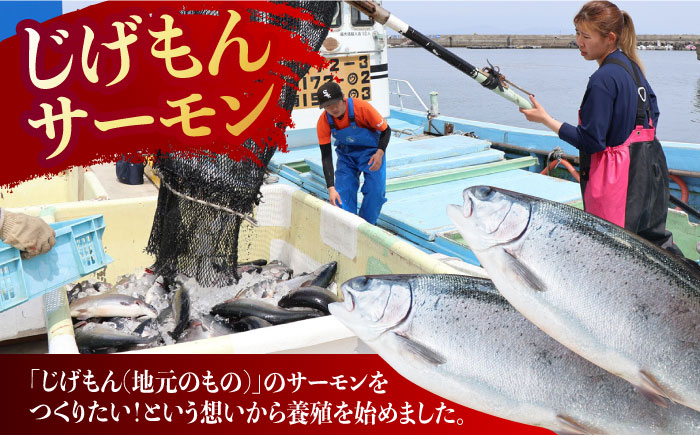 サーモン 切り落とし 鮭 刺身 切落し 切身 国産 小分け パック 長崎 雲仙 養殖 長崎県産 魚介 さーもん さけ 冷凍