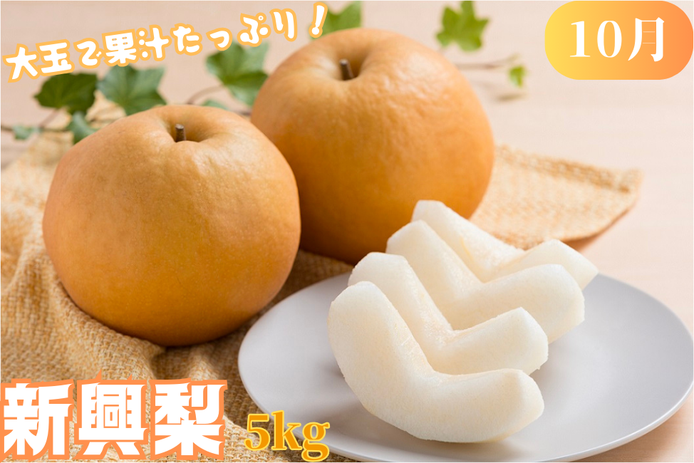 大玉で果汁たっぷり“新興梨”