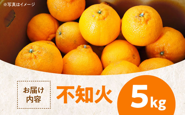 くだもの 果物 フルーツ 柑橘 不知火 しらぬい デコポン でこぽん みかん 愛媛県産 大洲市産 産地直送 おすすめ 人気